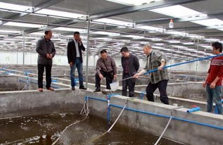 科技賦能 生態(tài)融合 重慶長壽工廠化養(yǎng)魚模式對(duì)涪陵漁業(yè)發(fā)展的啟示